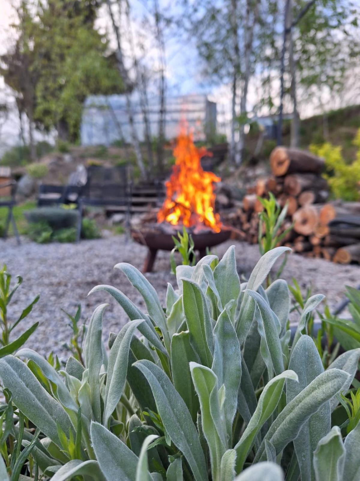 Domek Na Korcie Lubomierz  Exteriér fotografie