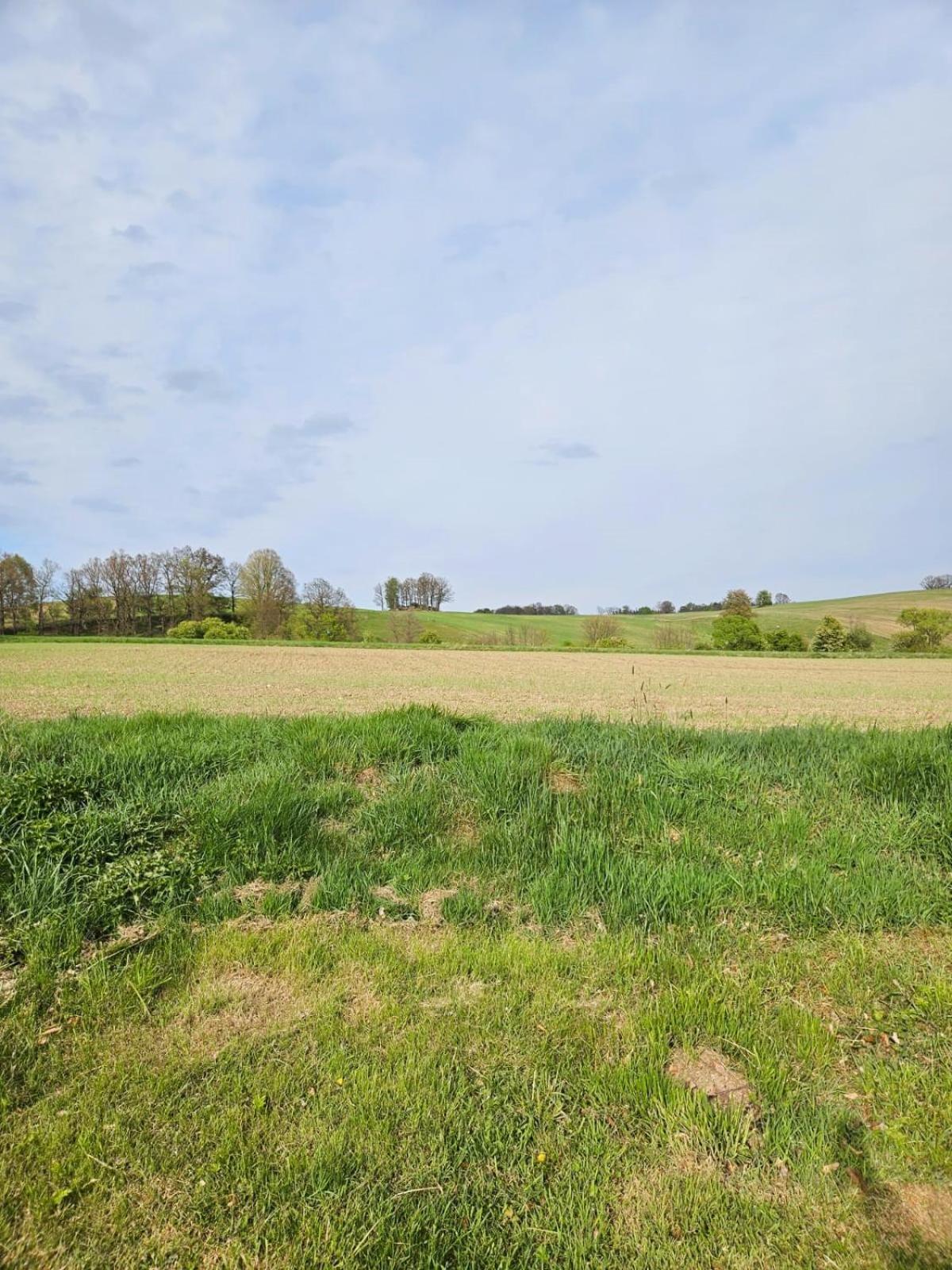 Domek Na Korcie Lubomierz  Exteriér fotografie